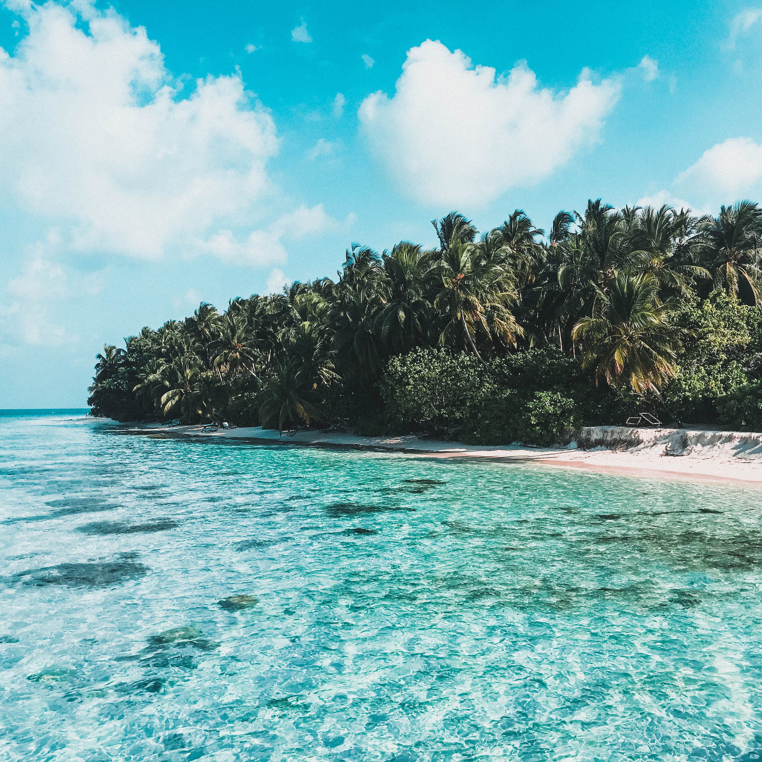 01032020: #MALDIVES TRAVEL DIARY 2019 | PART TWO: A DAY IN THE MALDIVES